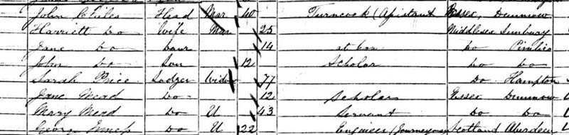 mary mead 1851C