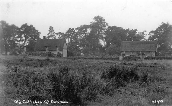 parsonage downs
