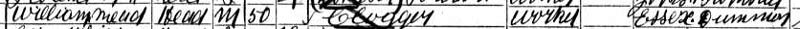 wilmead-1901