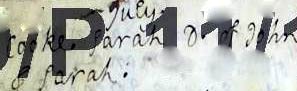 cook-sarah-1756