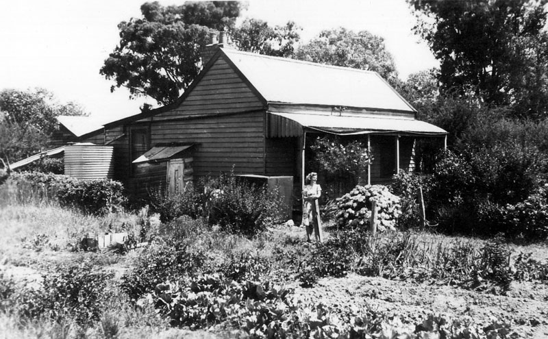 briar-hill