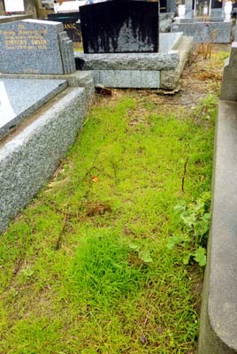 haroldturnergrave