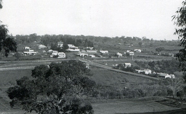 greenb-1900s