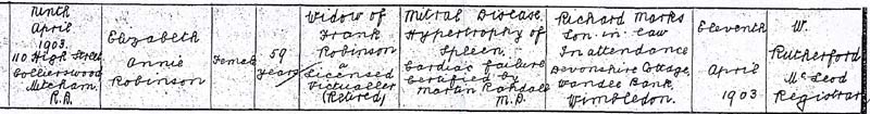 robinson-el-1893d.