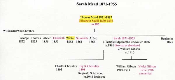 mead-sarah-tree