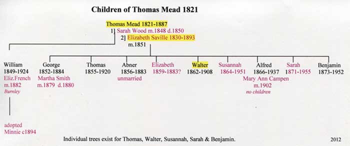 mead-tom-child