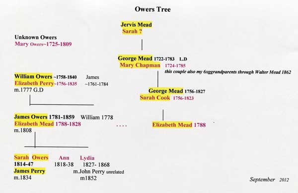 owers-tree