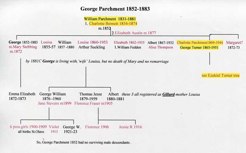 parchment-george